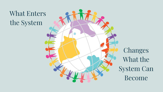 What enters the system changes what the system can become