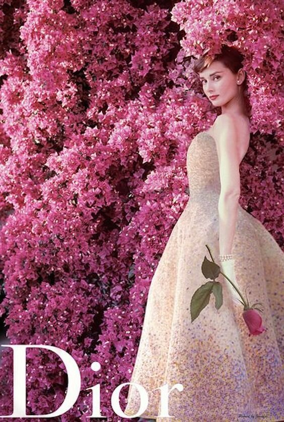 A picture of Audrey Hepburn in an ad campaign for Christian Dior.