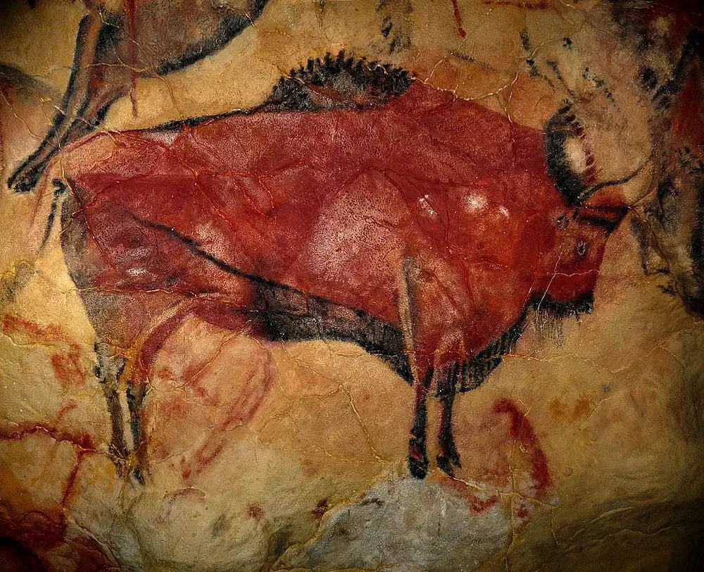 A picture of the Altamira Cave Paintings in Spain