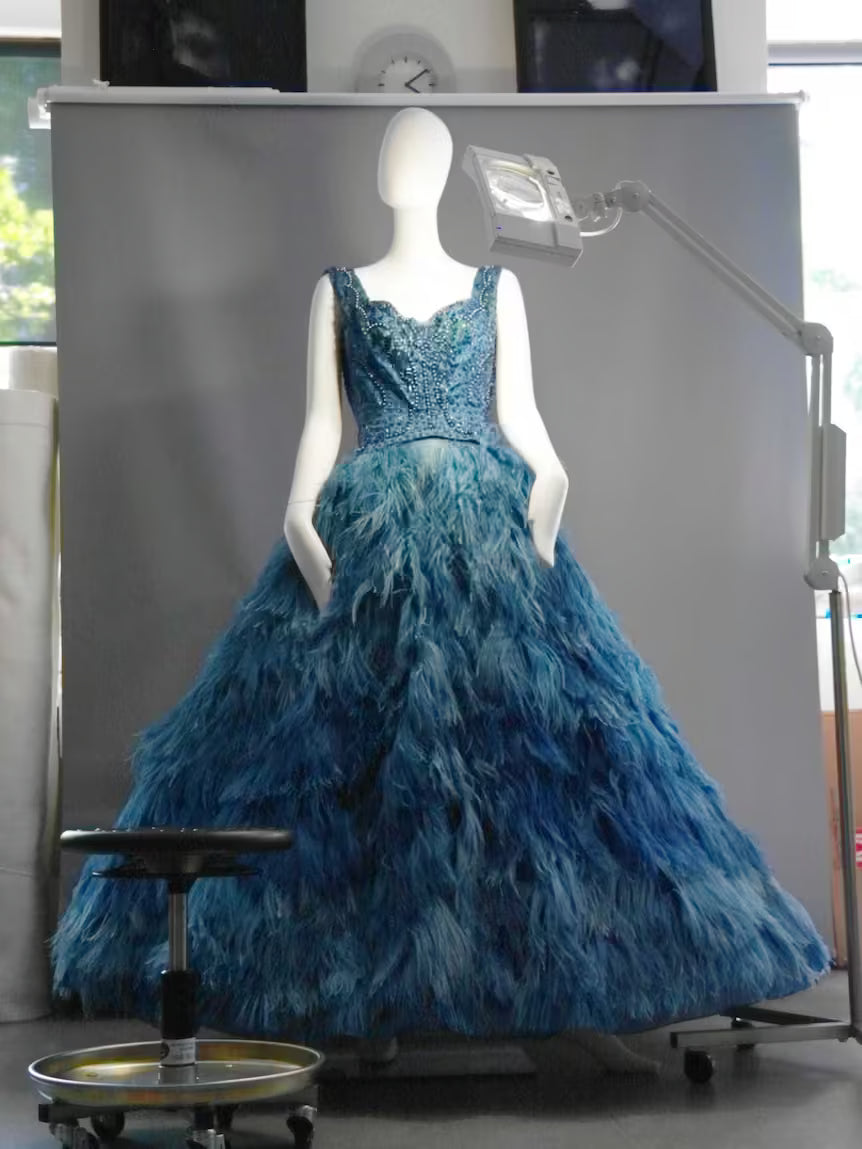 A picture of a blue ostrich feather dress was restored and is displayed in the National Gallery of Victoria, bought from a salon in Melbourne in the 1960's.